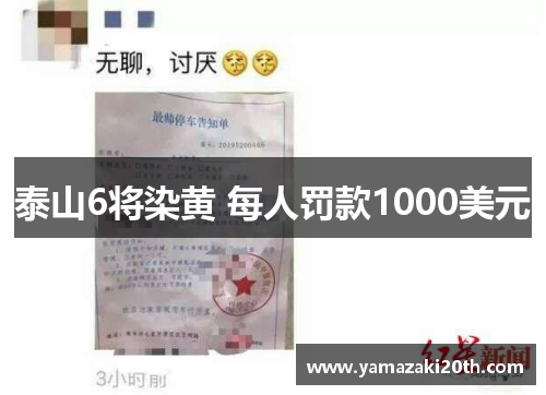 泰山6将染黄 每人罚款1000美元